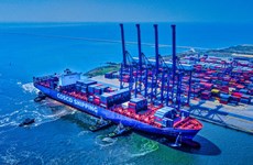 Vietnam moves to develop merchant cargo fleet