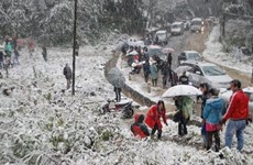 Sa Pa among top 10 snowy destinations in Asia: The Travel