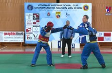 Vietnamese martial arts promoted in Italy