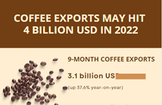 Coffee exports likely to hit 4 billion USD in 2022