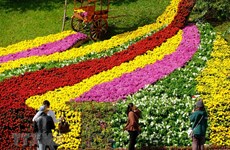 Da Lat Flower Festival kicks off