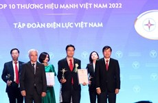 EVN ranked in Top 10 strong brands of Vietnam in 2022