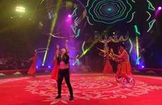 Vietnamese circus – 100-year pride of traditional culture 