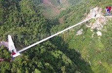 Glass-bottomed bridge introduced on Business Insider