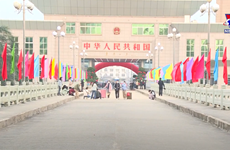 Mong Cai-Dongxing int'l border gate resumes entry-exit activities