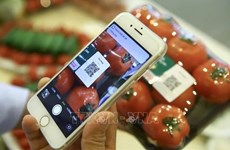 Digitisation in agricultural product traceability needs joint efforts