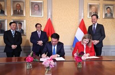 Vietnam-Netherlands share a model relationship of dynamism, effectiveness