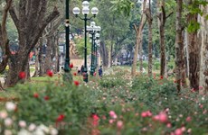 Hanoi deals with shortage of public recreational spaces 
