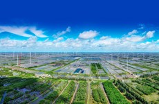 Efforts needed to promote circular agriculture in Vietnam