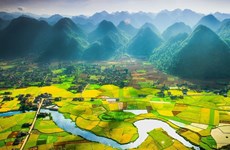 Over 1.2 million hectares of land remain unused in Vietnam