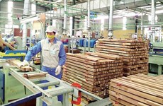 Gia Lai to build wood processing industry on solid foundation