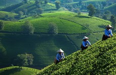 Vietnam narrows development gap in remote, mountainous areas