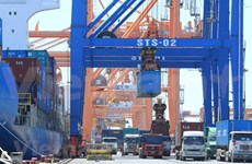Vietnam’s exports decline to 25.08 billion USD in January