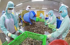 Agro-forestry aquatic product exports predicted to rebound in Q2