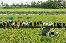 Southeast Asia’s first Bayer ForwardFarm launched in Vietnam