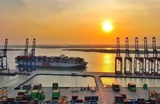Ba Ria-Vung Tau sees breakthrough opportunities with model of seaport-linked free trade zone