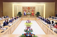 Vietnamese, Dutch PMs hold talks