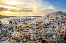 Global treaty expected to tackle plastic pollution