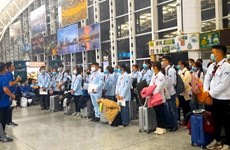 Working in Hungary: New direction for Vietnamese guest workers 