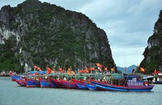Quang Ninh works hard on fighting IUU fishing