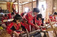 Vietnam preserves, promotes cultural identities of ethnic minority groups with very small population