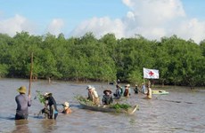 Huge potential to utilise “green carbon” from Vietnam’s mangroves