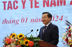 Vietnam gains recognition on global health map: Deputy PM 