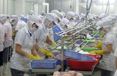 Tien Giang: Export turnover hits record high