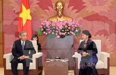 National Assembly Vice Chairwoman receives Japanese guests 