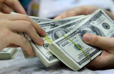 Central bank ups anti-dollar efforts 