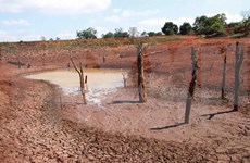 Int’l organisations to assist drought-affected localities