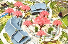 Da Nang to host first Japanese cherry blossom festival 