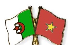 Association promotes Vietnam-Algeria relations 