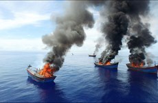 Palau detains Vietnam’s fishing vessels