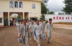 Binh Phuoc: 367 prisoners granted clemency