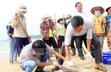 Quang Binh aids farmers over fish deaths