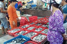Central provinces put clean fish for sale amid poisoned fish fear