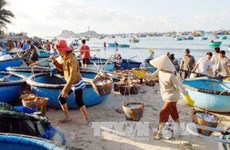 Thua Thien-Hue: near-shore seawater safe for humans