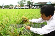 Mekong agriculture lacks foreign funding