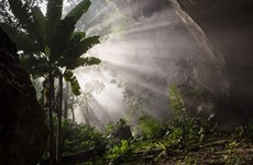 Son Doong cave welcomes 500 more tourists 