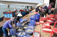 Seafood exports fetch 3.65 billion USD in seven months 