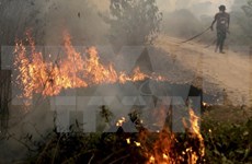 Indonesia pledges to tackle haze 