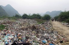 HCM City district pilots recycling plant waste