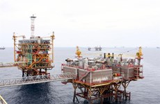 VN Index falls on sliding oil prices