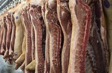 Russia to export pork to Vietnam in 2017 