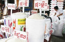 Cambodia announces special loan to stablise rice prices 