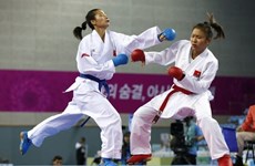 Vietnam participates in world karate champs 