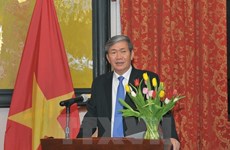 Vietnam calls for UN continuous support 