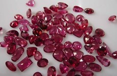 Vietnam's exports of gems and precious metals surge 