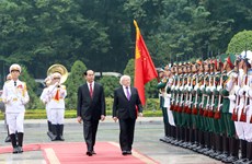 Irish President wishes to foster ties with Vietnam